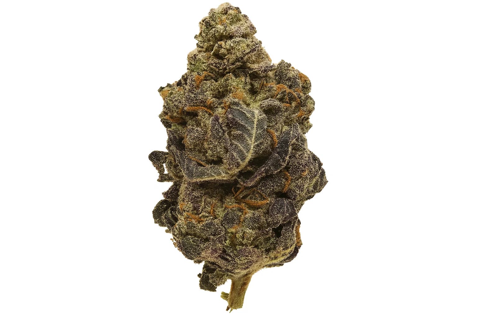 Alien Cookies