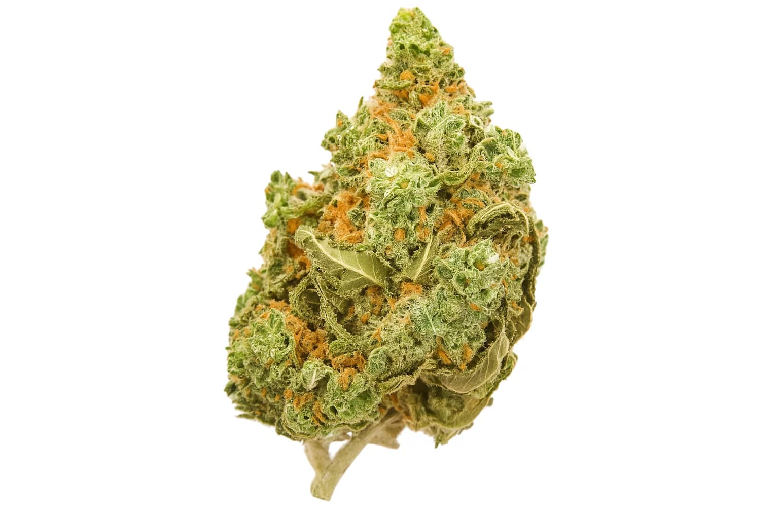 Amnesia Haze