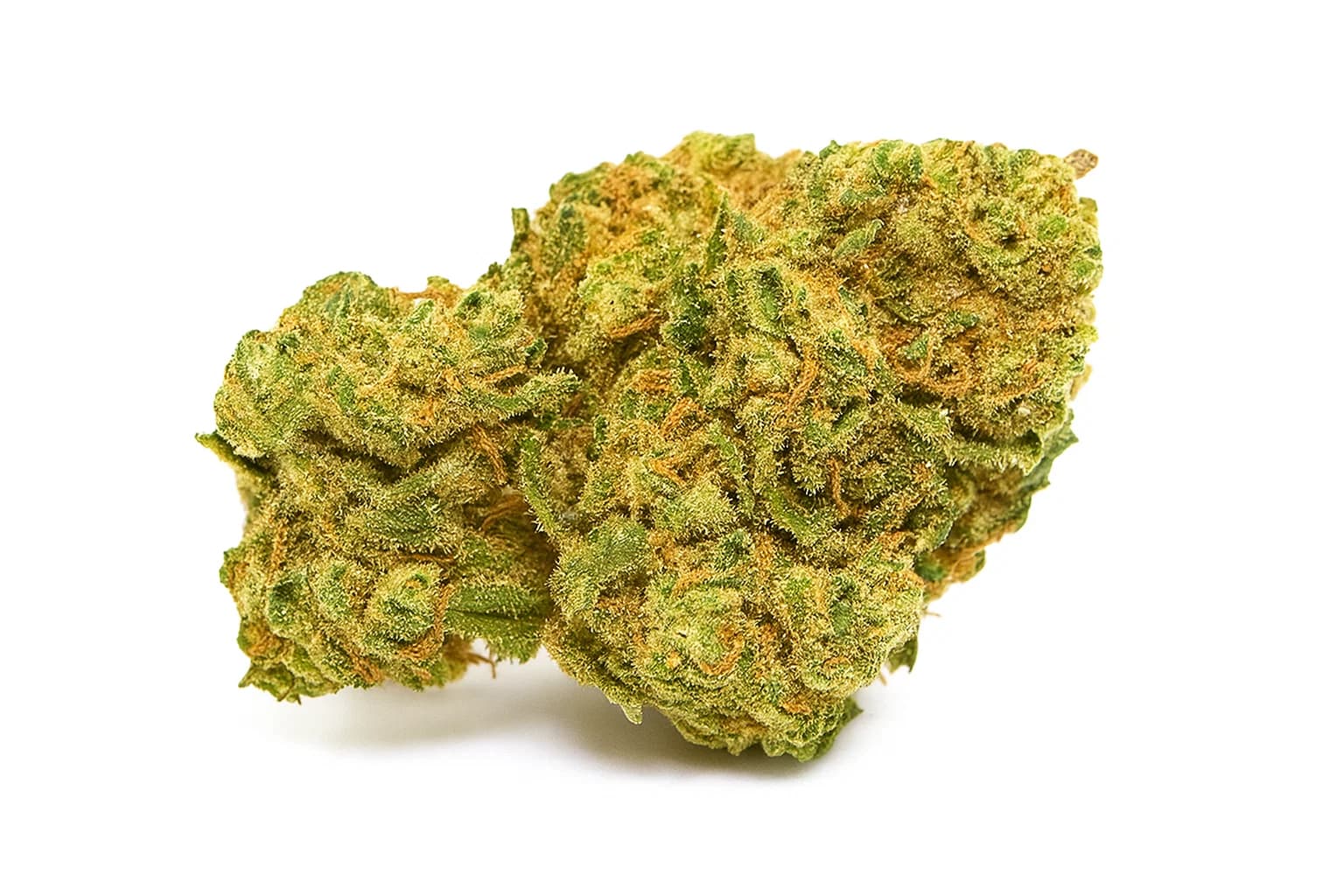 Amnesia
