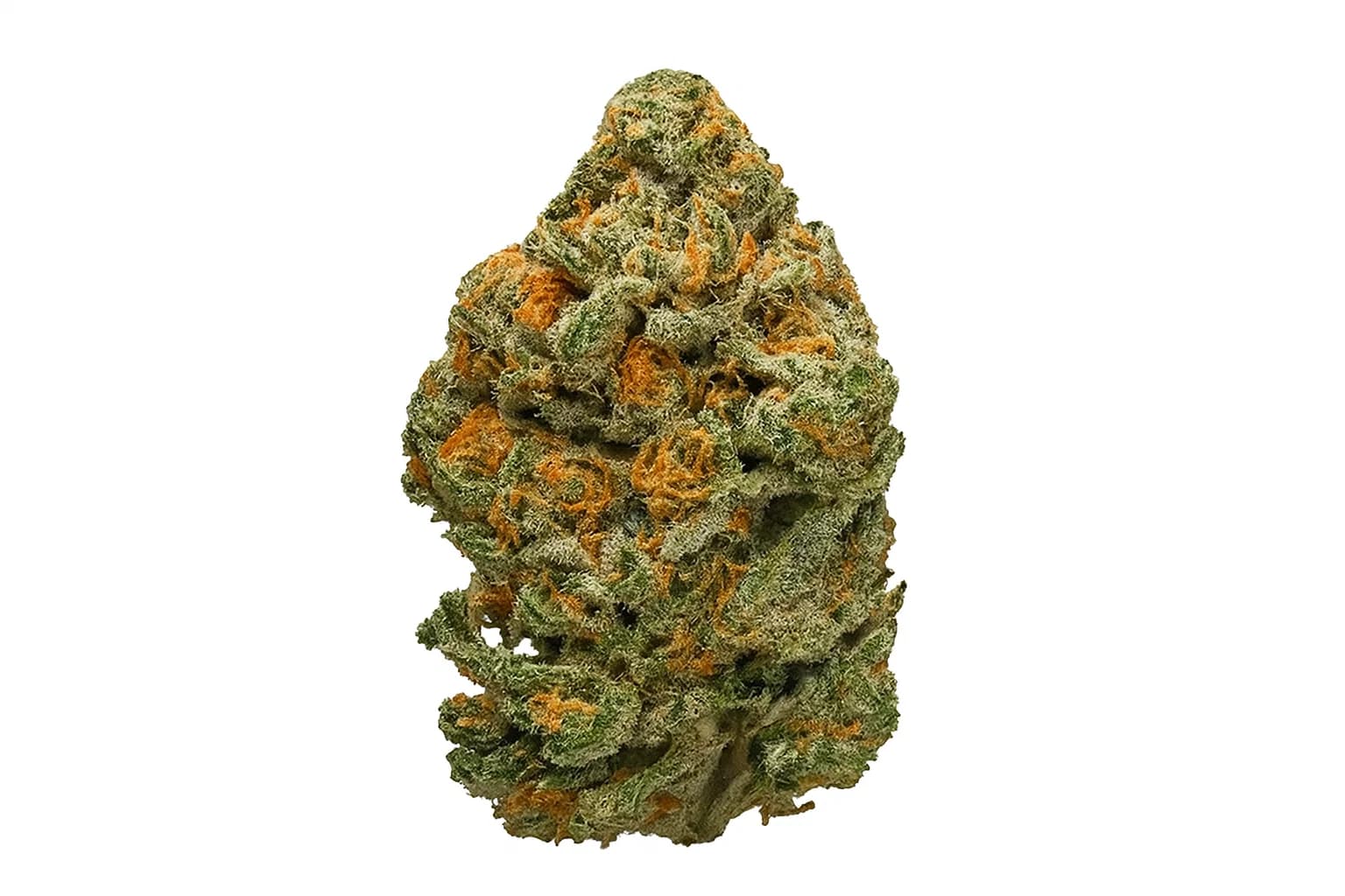 Animal Cookies