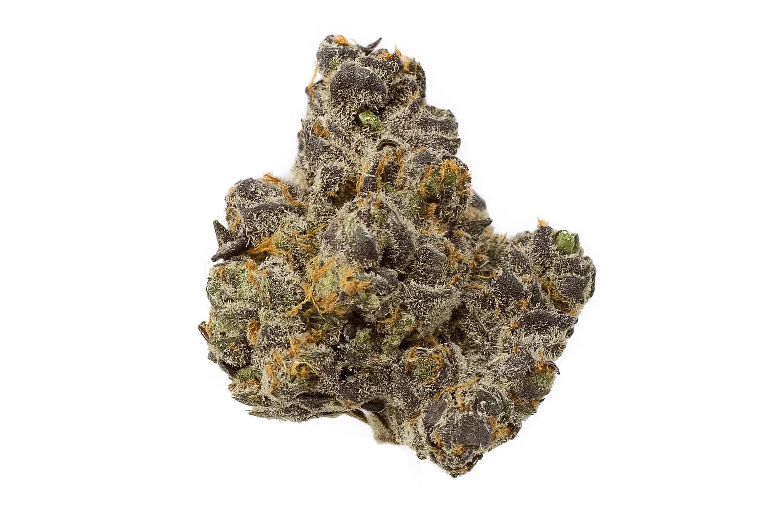 Apple Fritter
