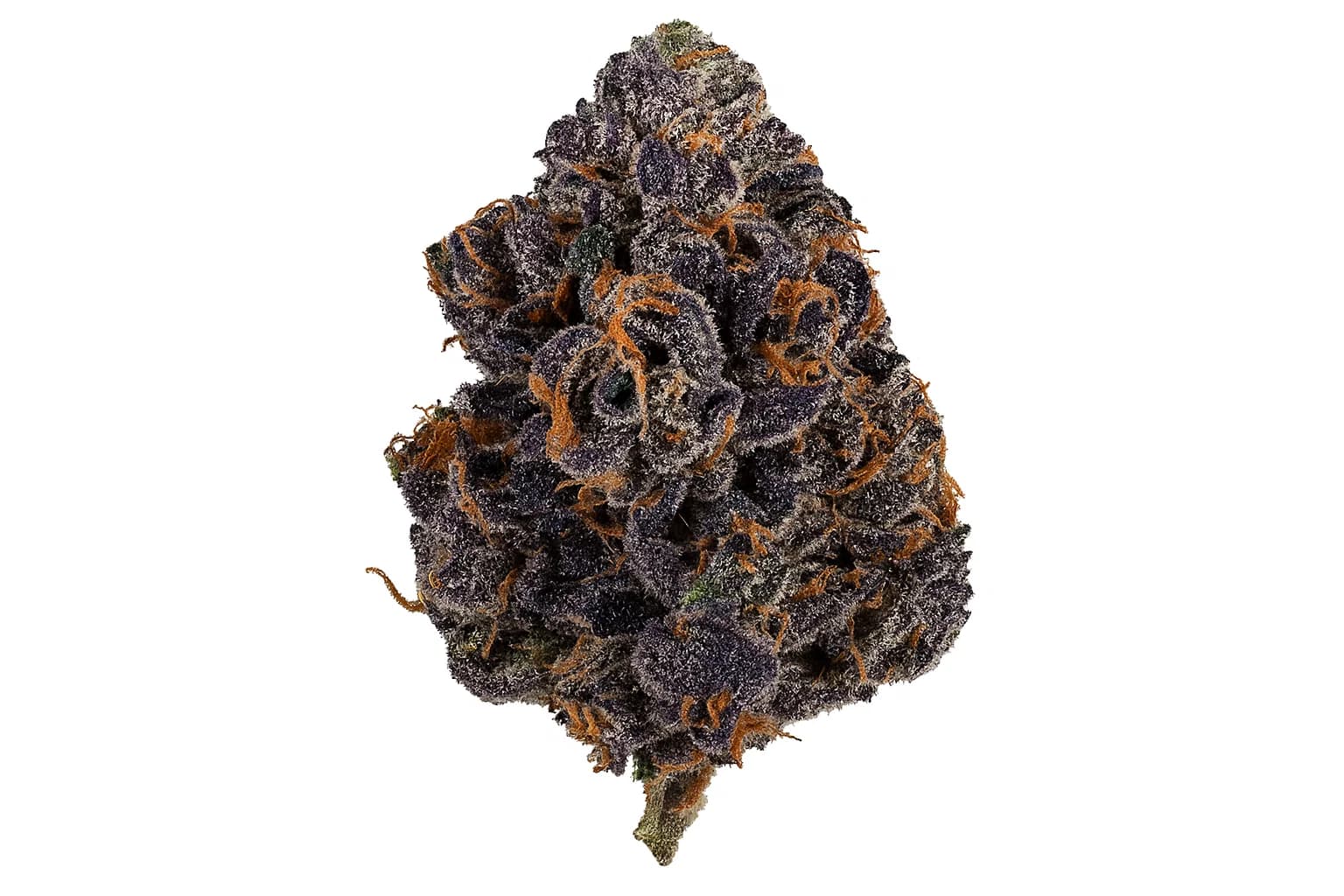 Bacio Gelato