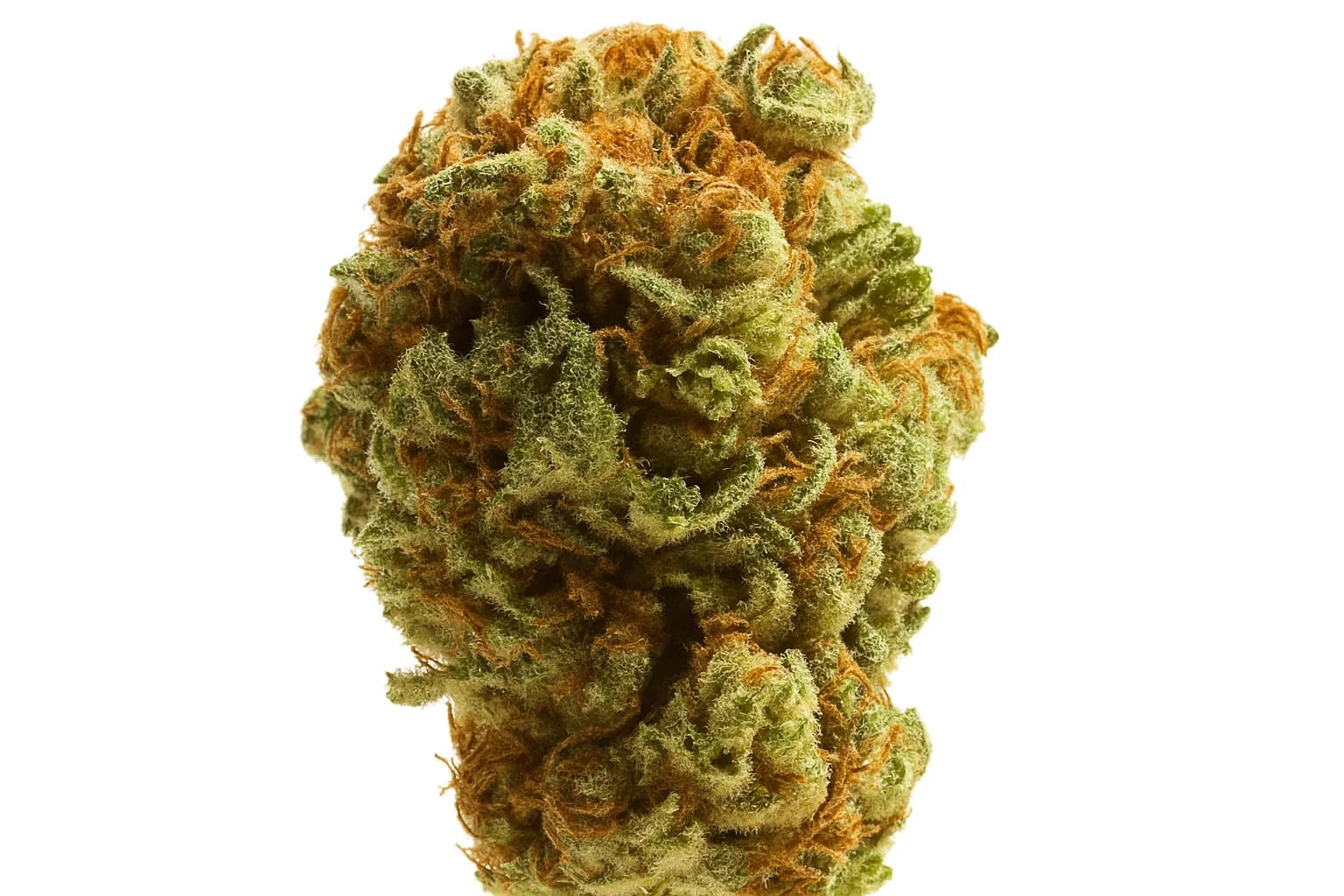Billy Kimber Og