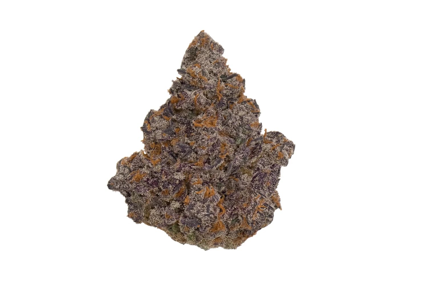 Black Cherry Gelato