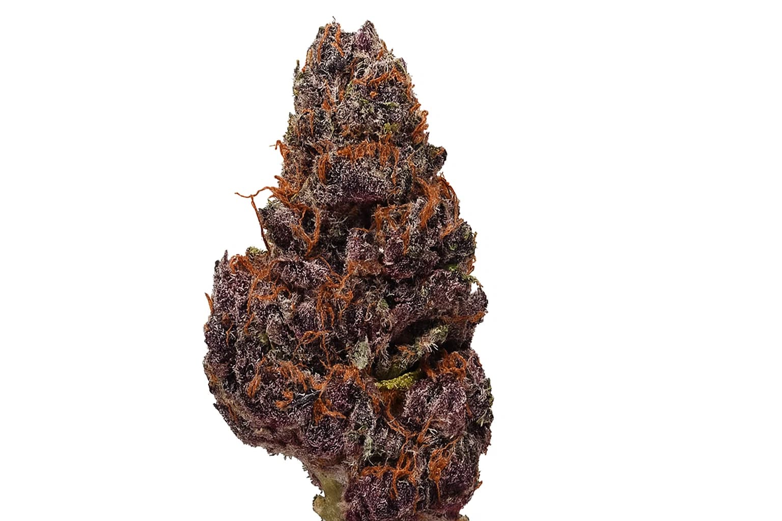 Black Cherry Soda