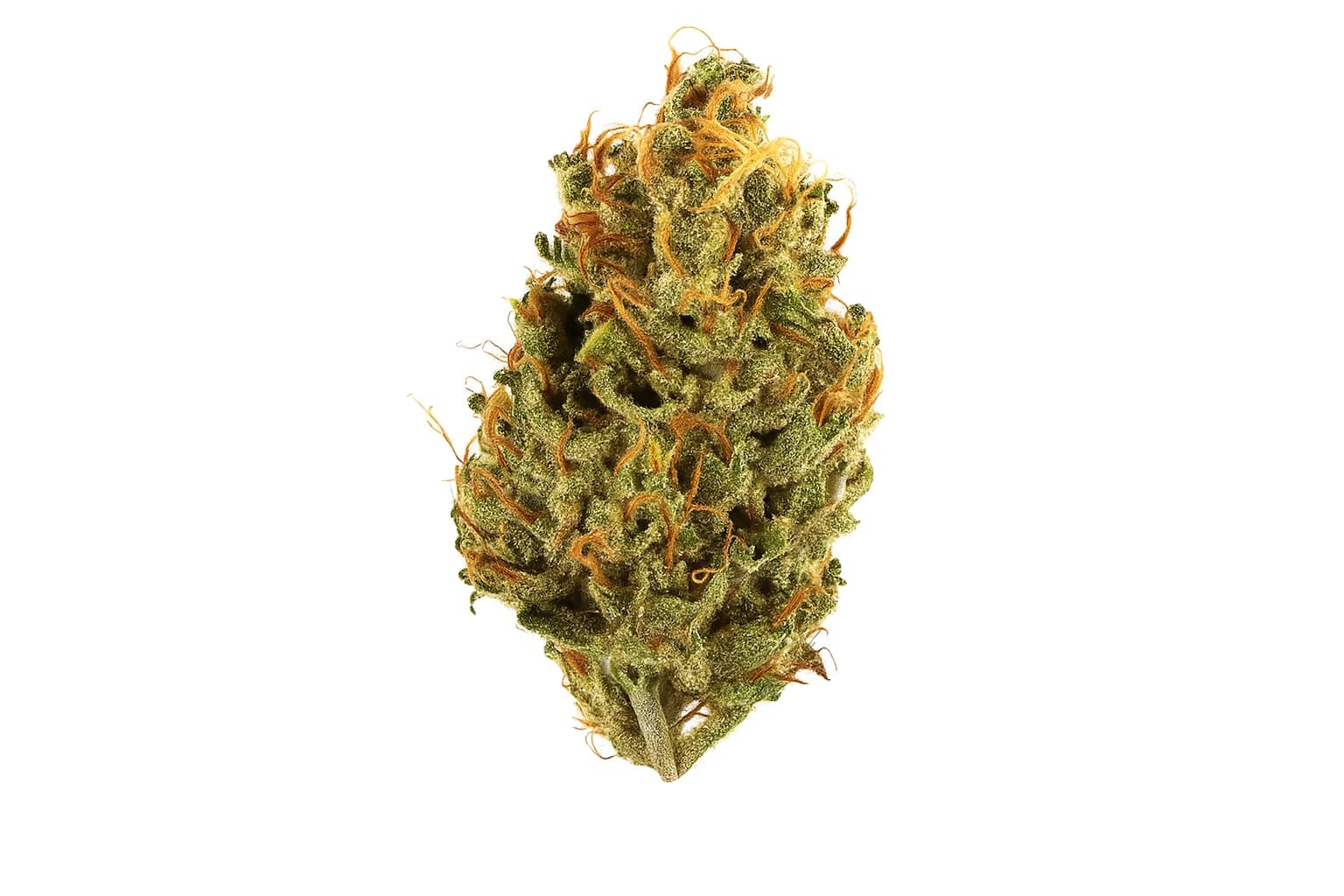 Black Jack