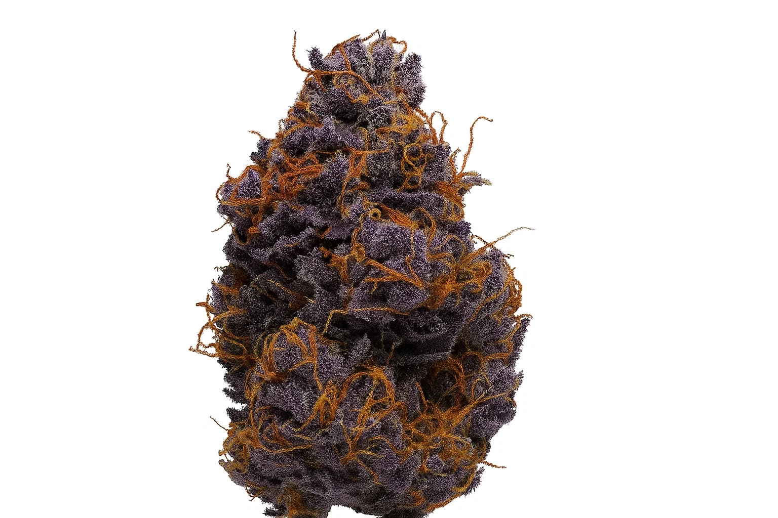 Blackberry Kush
