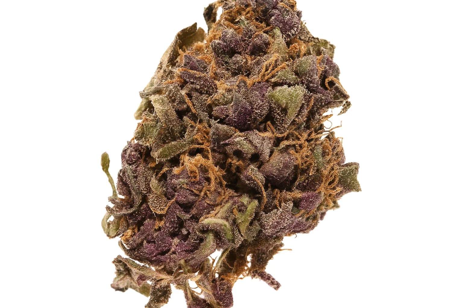 Blackberry