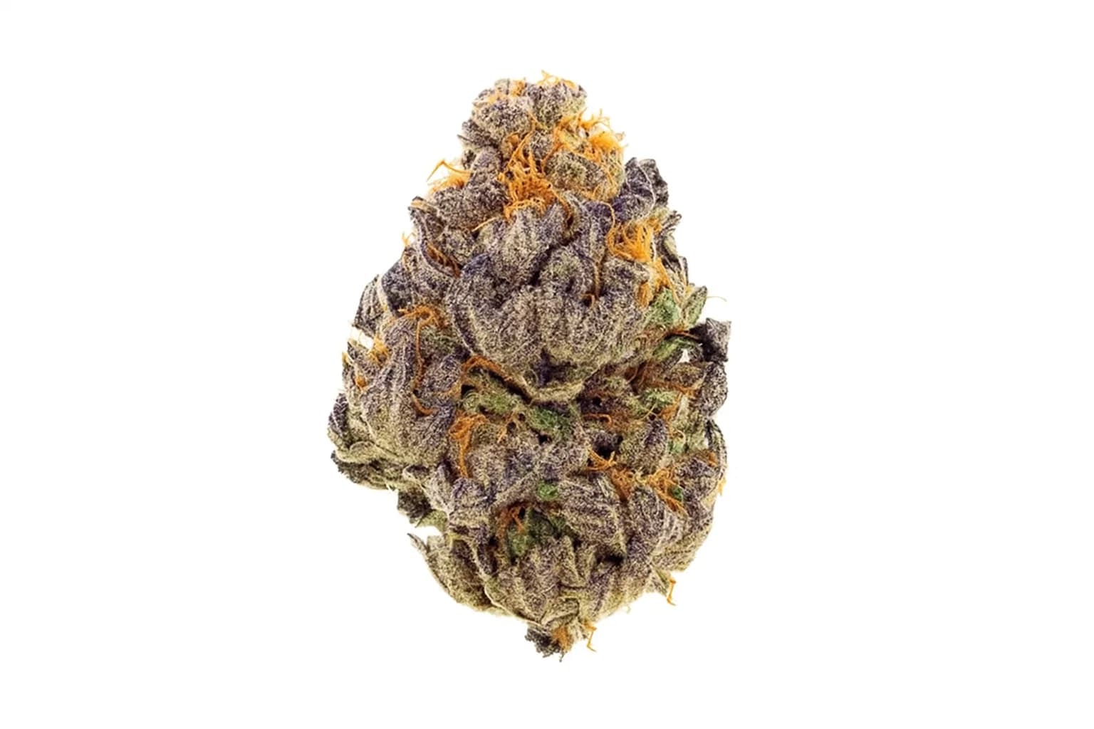Blueberry Cookies