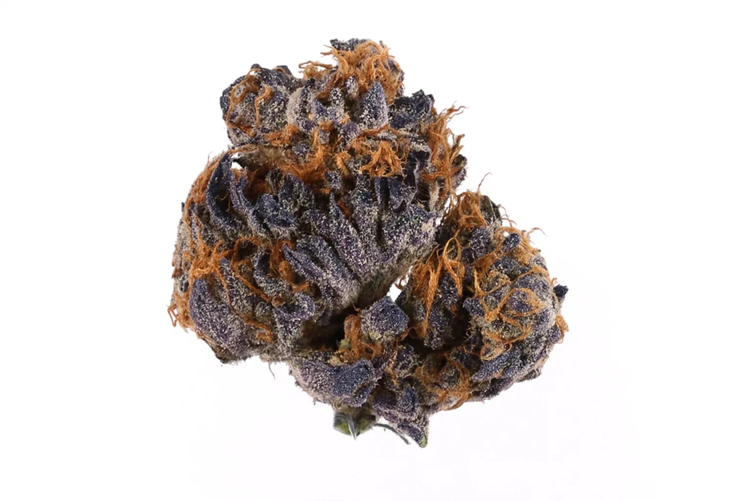 Blueberry