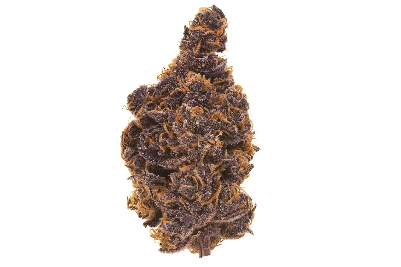 Blueberry Muffin