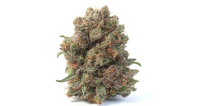 Blueberry Strain Effects Benefits THC Grow & FAQs