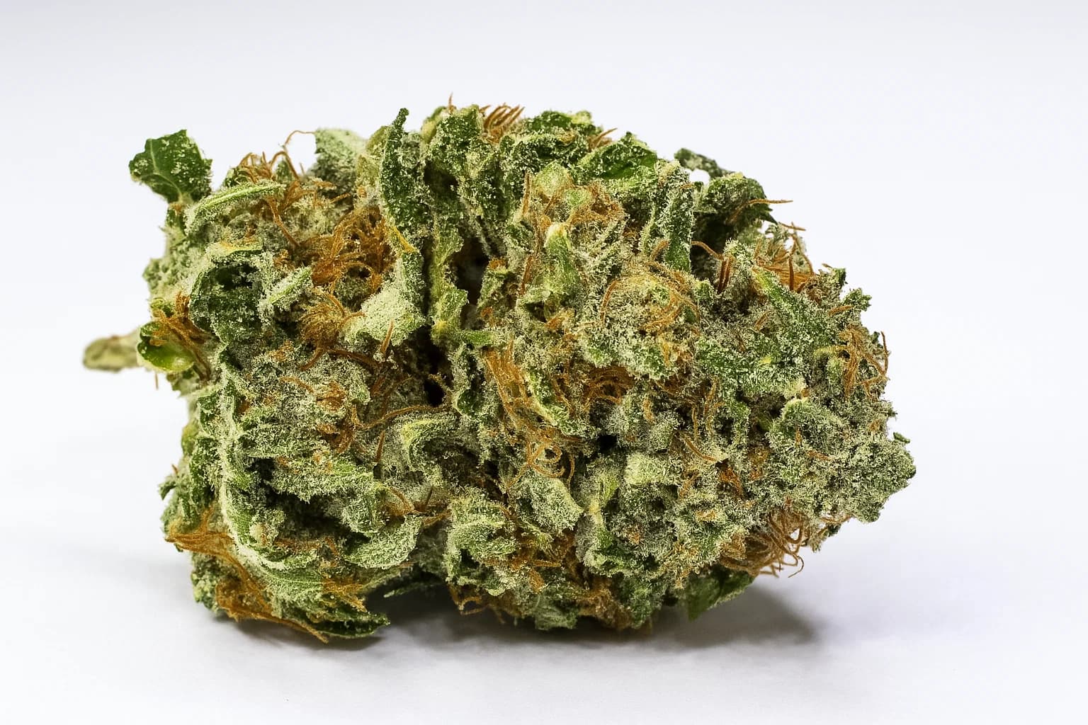 Bruce Banner
