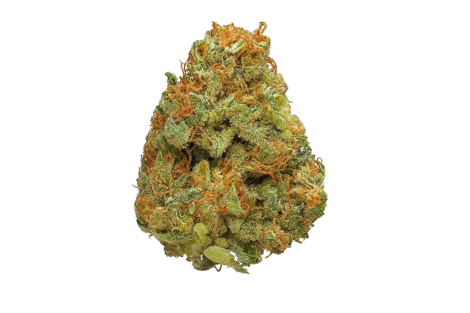 Cannalope Haze