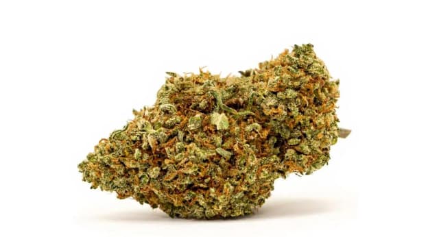 Kush Mints Strain Effects Benefits THC Grow & FAQs