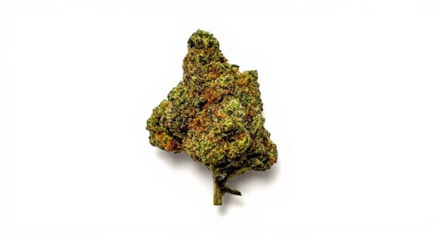 Mango Kush Strain Effects Benefits THC Grow & FAQs