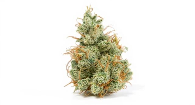 Orange Kush Strain Effects Benefits THC Grow & FAQs