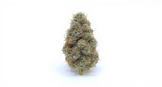 Watermelon Strain Effects Benefits THC Grow & FAQs