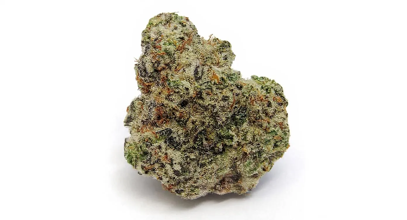 Alien Cookies Strain: Effects, Benefits, THC, Grow & FAQs